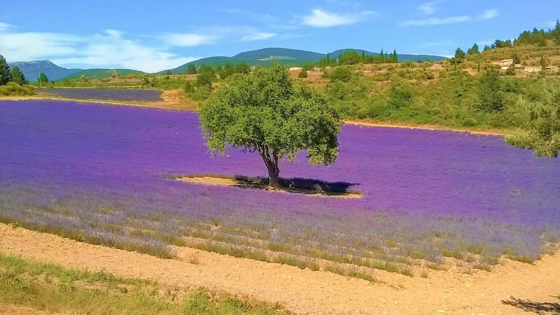 4 Bedroom Awesome Home In Vaison-La-Romaine