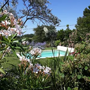 Parfums De Provence L'oliveraie - Piscine Chauffée&spa Vaison-la-Romaine